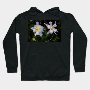 Columbine Hoodie